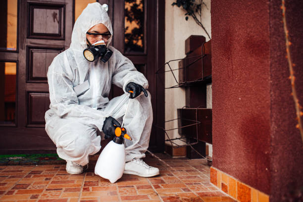 Reliable Ant Control contractor in Manteca, CA by Show Me Pest Control